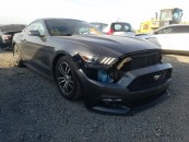 car_title